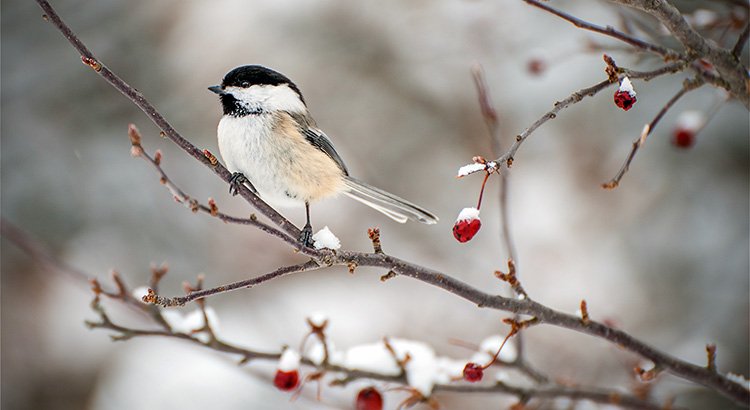 The #1 Reason to Sell Now… Not Next Spring | Simplifying The Market