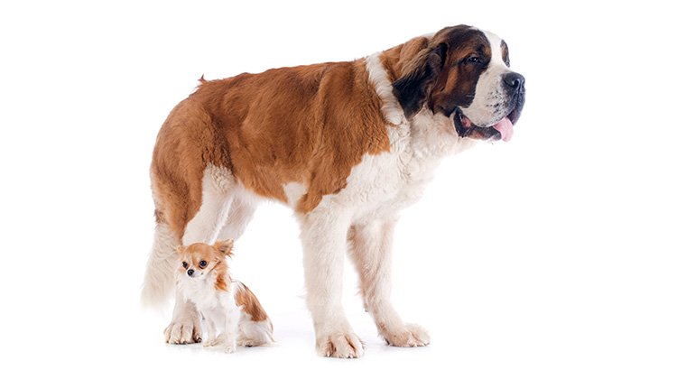 Homeowner’s Net Worth Is 45x Greater Than a Renter’s | Simplifying The Market