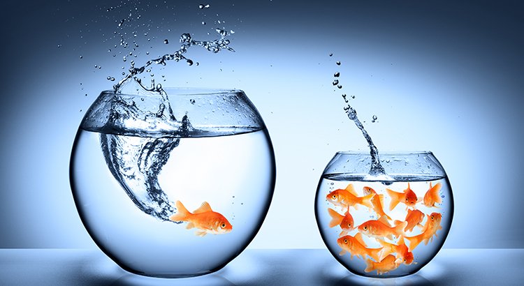 2 Myths That May Be Holding Back Buyers | Simplifying The Market