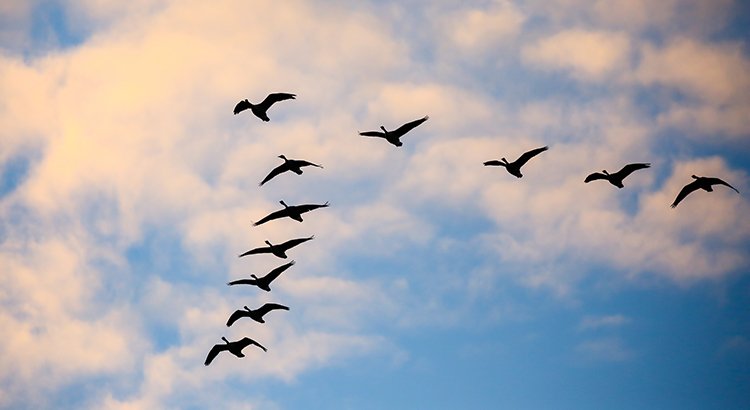 Millennials Flock Towards Low Down Payment Programs | Simplifying The Market